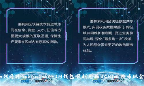 如何通过TokenTokenIM钱包顺利兑换BCH（比特币现金）