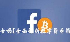 派币钱包安全吗？全面解析数字货币钱包的安全