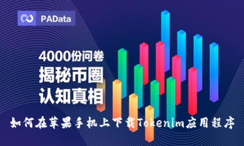 如何在苹果手机上下载Tokenim应用程序