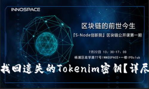 如何找回遗失的Tokenim密钥？详尽指南