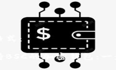 以下是您请求的格式：如何创建一个支持BSC的加