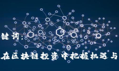 和关键词：

如何在区块链投资中把握机遇与风险