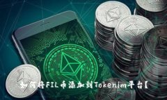 如何将FIL币添加到Tokenim平台？