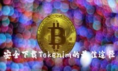 安全下载Tokenim的最佳途径