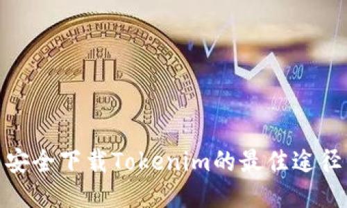 安全下载Tokenim的最佳途径