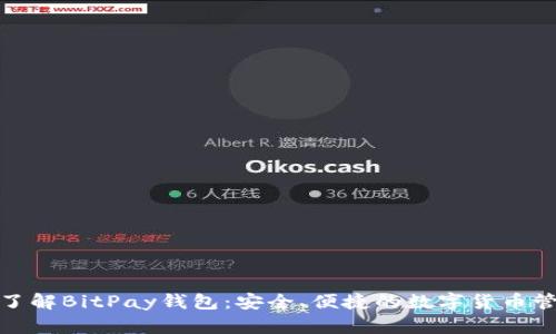 : 深入了解BitPay钱包：安全、便捷的数字货币管理工具