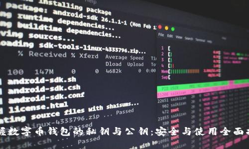 掌握数字币钱包的私钥与公钥：安全与使用全面指南