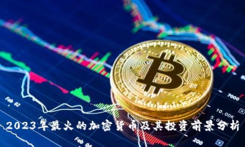 2023年最火的加密货币及其投资前景分析