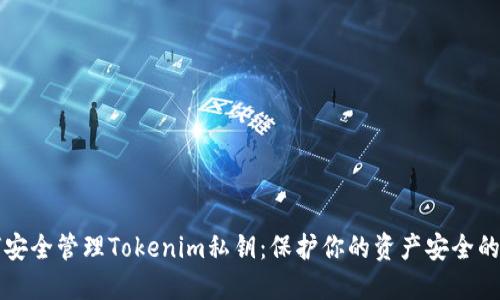 如何安全管理Tokenim私钥：保护你的资产安全的指南