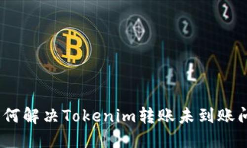 : 如何解决Tokenim转账未到账问题？