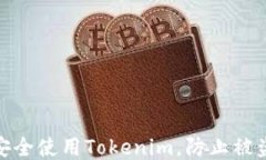 如何安全使用Tokenim，防止被盗风险