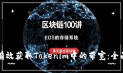 如何有效获取Tokenim中的带宽：全面指南