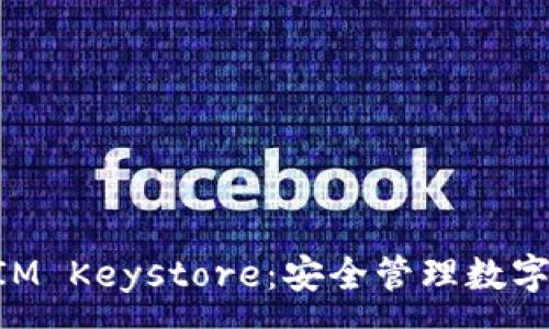 : 
深入理解TokenIM Keystore：安全管理数字资产的解决方案