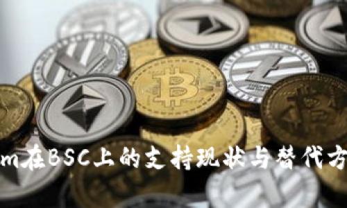 Tokenim在BSC上的支持现状与替代方案解析