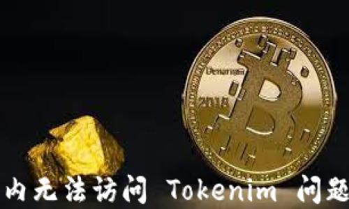 
如何解决国内无法访问 Tokenim 问题的详细指南