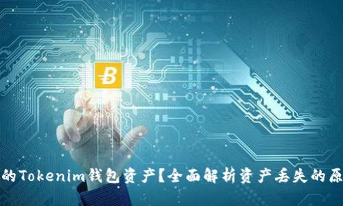 如何找回丢失的Tokenim钱包资产？全面解析资产丢失的原因与解决方案