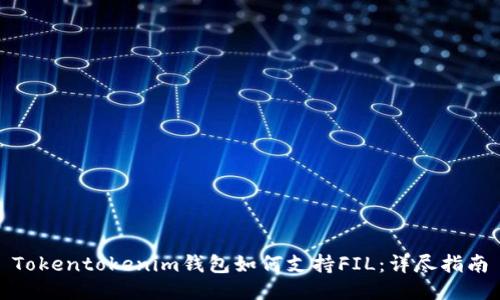 Tokentokenim钱包如何支持FIL：详尽指南