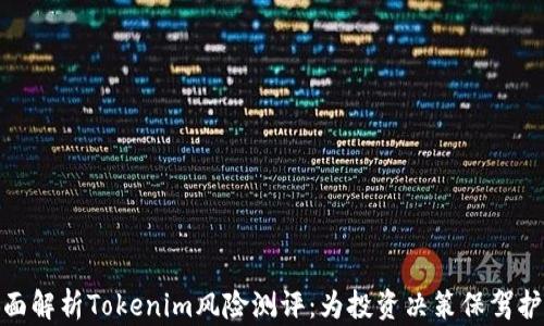 
全面解析Tokenim风险测评：为投资决策保驾护航