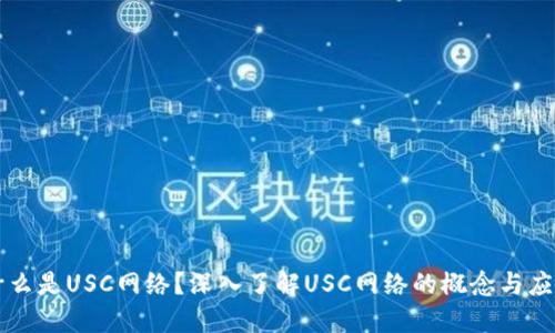 什么是USC网络？深入了解USC网络的概念与应用