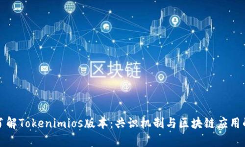深入了解Tokenimios版本：共识机制与区块链应用的前景
