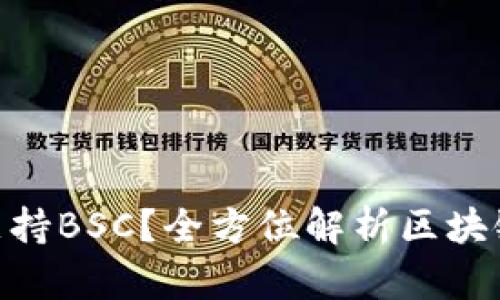 TokenIM是否支持BSC？全方位解析区块链钱包的兼容性