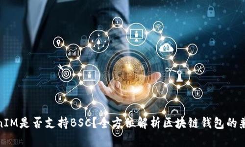 TokenIM是否支持BSC？全方位解析区块链钱包的兼容性