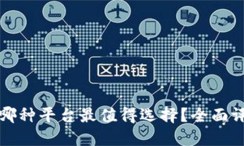 数字钱包哪种平台最值得选择？全面评测与推荐