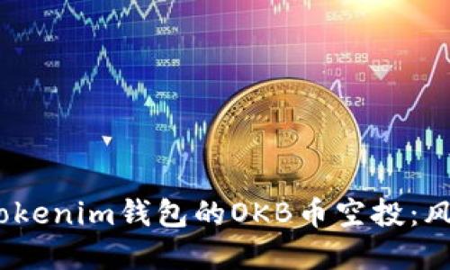  如何安全地参与Tokenim钱包的OKB币空投：风险提示与防范措施