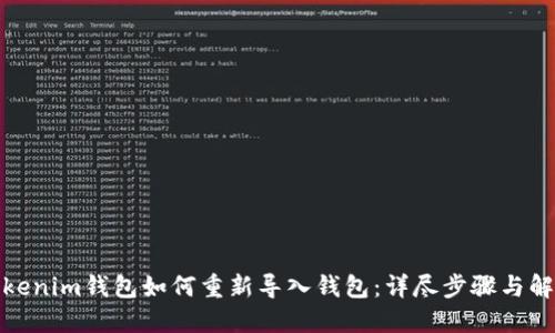 Tokenim钱包如何重新导入钱包：详尽步骤与解答