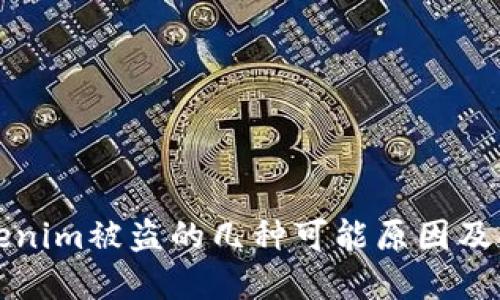 防止Tokenim被盗的几种可能原因及解决方案