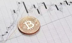 虚拟币链的全景解析：技术、应用与未来趋势