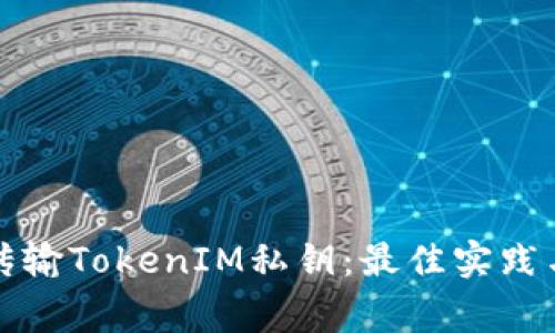 如何安全传输TokenIM私钥：最佳实践与注意事项