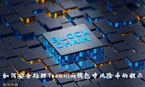 如何安全处理Tokenim钱包中风险币的提示