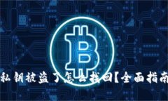 虚拟币钱包私钥被盗了怎么找回？全面指南与应
