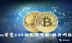 : 掌握Tokenim带宽600的无限可能：提升网络效率的