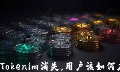 
假如Tokenim消失，用户该如何应对?