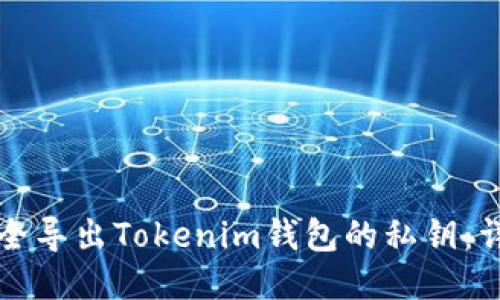 如何安全导出Tokenim钱包的私钥：详细指南