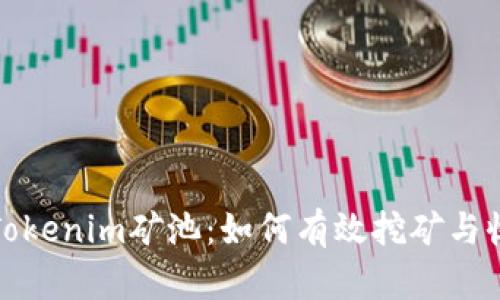 全面解析Tokenim矿池：如何有效挖矿与收益最大化