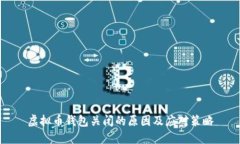 虚拟币钱包关闭的原因及应对策略