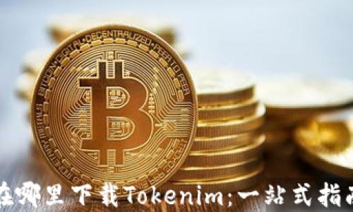 
在哪里下载Tokenim：一站式指南