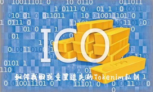 如何找回或重置遗失的Tokenim私钥