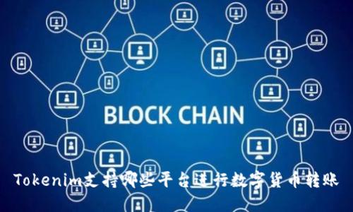 Tokenim支持哪些平台进行数字货币转账