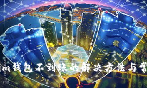 币转Tokenim钱包不到账的解决方法与常见问题解析