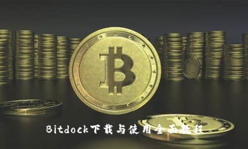 Bitdock下载与使用全面教程