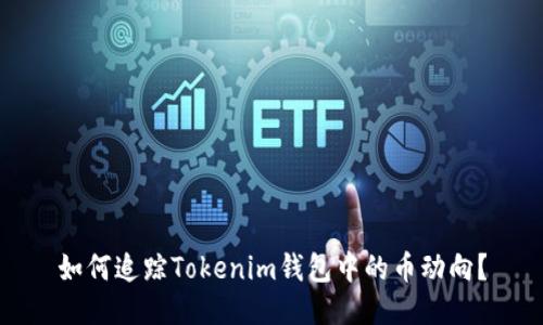如何追踪Tokenim钱包中的币动向？