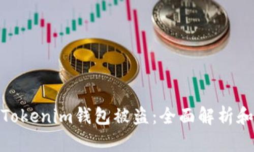如何应对Tokenim钱包被盗：全面解析和防范措施
