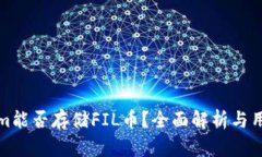 Tokenim能否存储FIL币？全面解析与用户指南