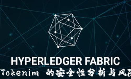 
投资 Tokenim 的安全性分析与风险管理