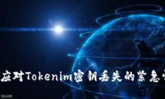 如何应对Tokenim密钥丢失的紧急情况？