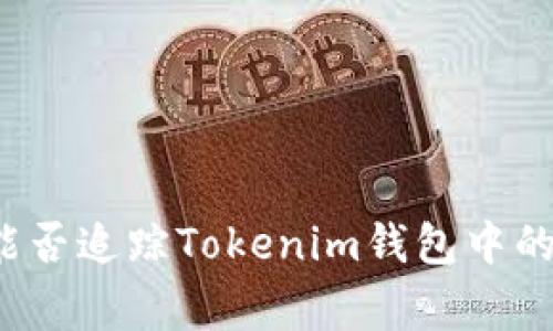 警方能否追踪Tokenim钱包中的交易?